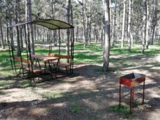 Асистент кафедри початкової освіти Саєнко Ю. - авторка проекту-переможця «Відпочинок на «УРА!» Асистент кафедри початкової освіти Саєнко Ю. - авторка проекту-переможця «Відпочинок на «УРА!»