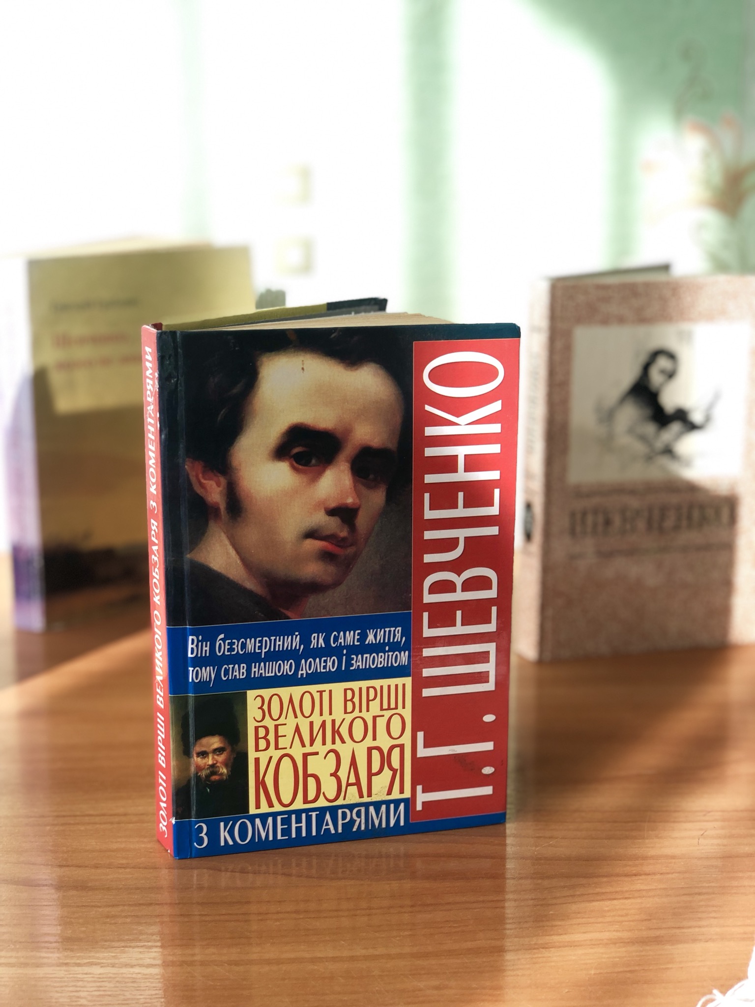 Міжнародний мовно-літературний конкурс учнівської та студентської молоді імені Тараса Шевченка