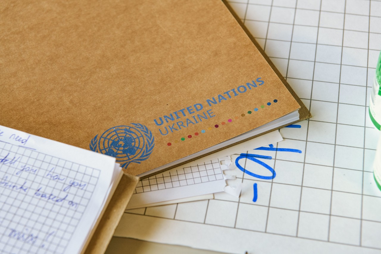 ООН оголошує конкурс грантів для зміцнення громадської безпеки, соціальної згуртованості та партнерства з поліцією в п’яти областях України