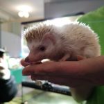 Студенти хіміко-біологічного факультету відвідали виставку «Рослини-хижаки і мешканці джунглів»