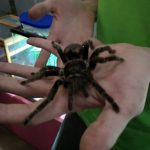 Студенти хіміко-біологічного факультету відвідали виставку «Рослини-хижаки і мешканці джунглів»